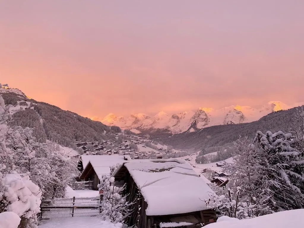 Le Rucher De La Vignette Le Grand-Bornand
